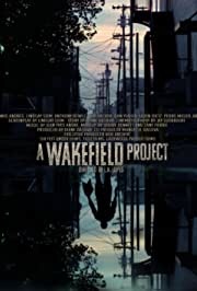 Wakefieldi projekt