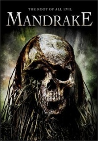 Mandragora
