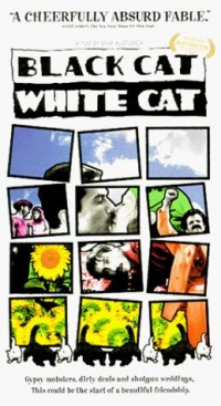 Must kass, valge kass