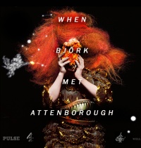 Kui Björk kohtus Attenborough'ga. Muusika olemus