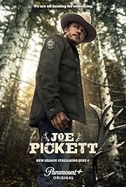 Joe Pickett