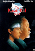 Karate Kid 2